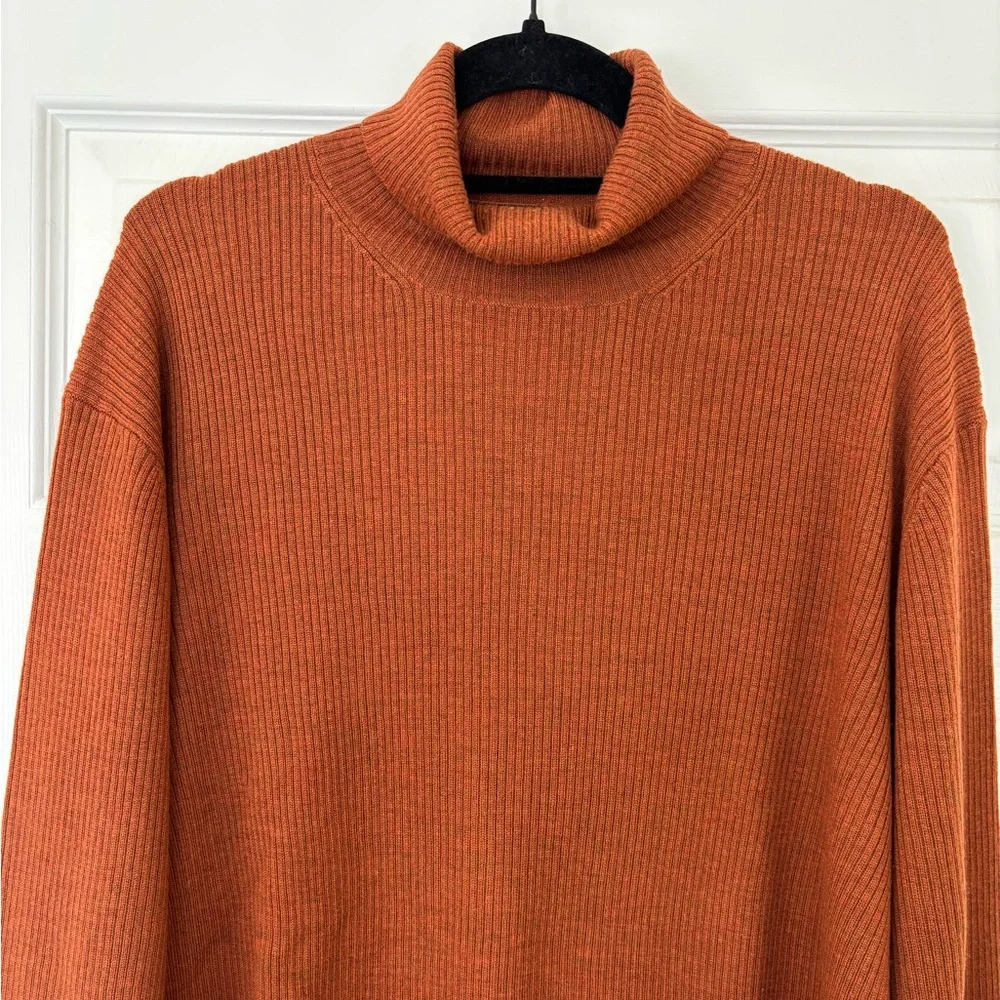 Brooks Brothers 100% Extra Fine Merino Wool Turtle Neck Long Sleeve Shirt